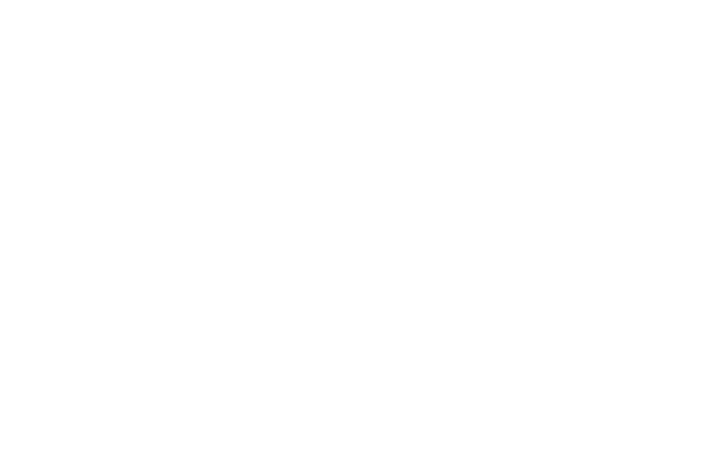 Attitude Performance logo